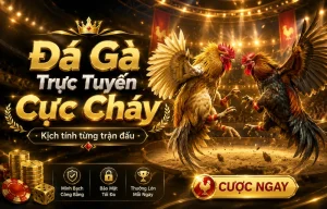 Sảnh Đá Gà civitaspharmacy